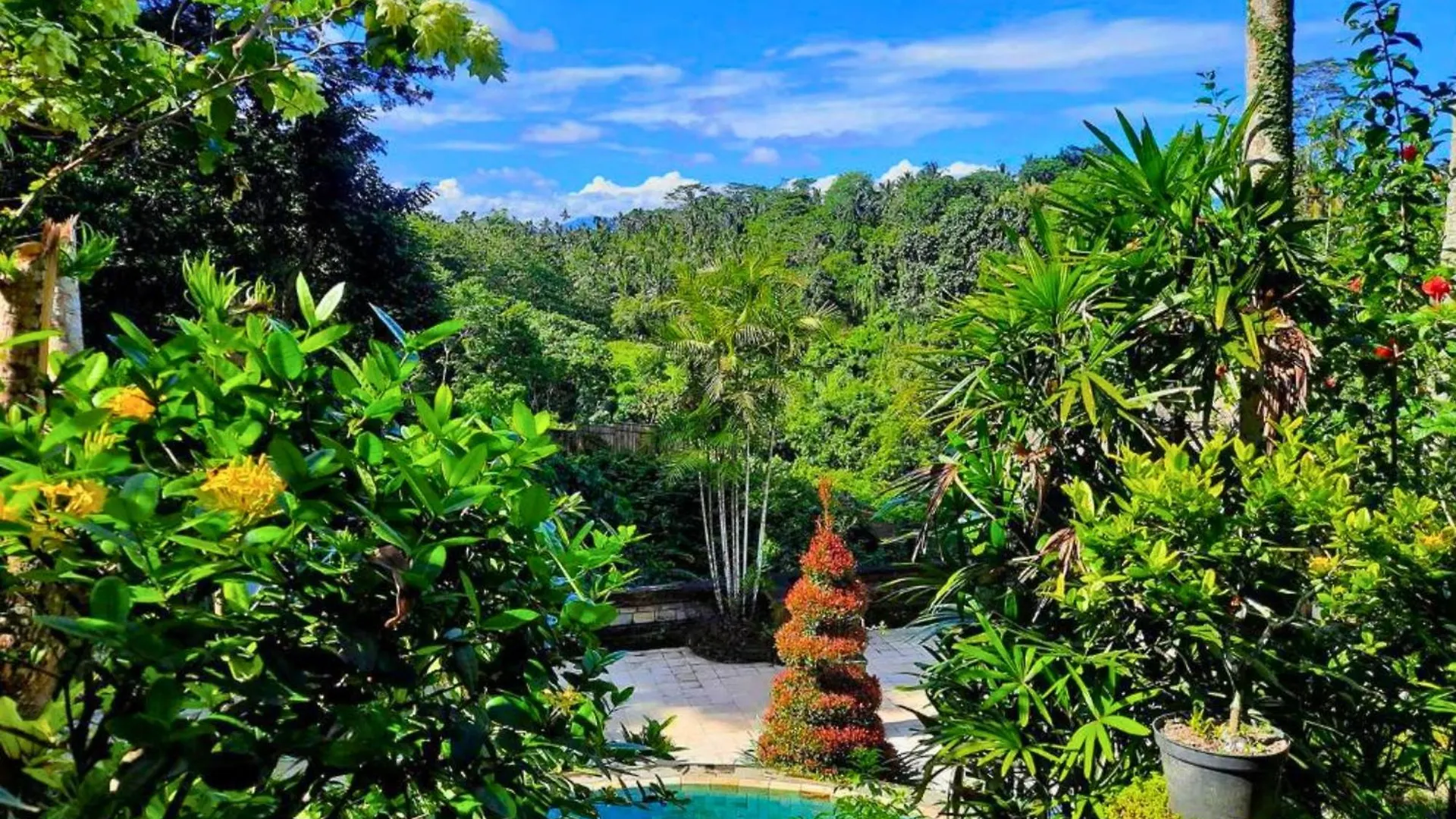 Jivaa 1 Bedroom Superior Garden View Zn239 Ubud  Ubud (Bali)