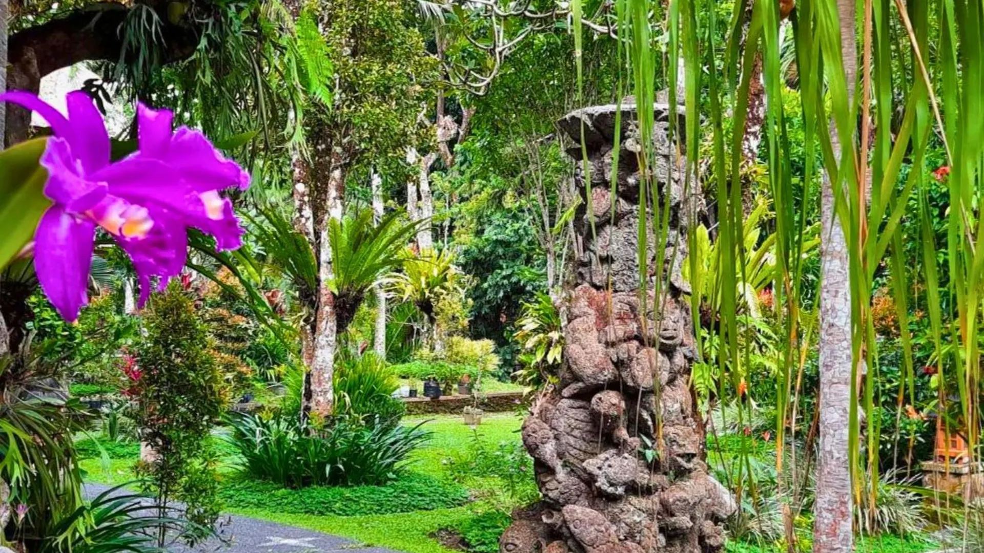 Jivaa 1 Bedroom Superior Garden View Zn239 Ubud